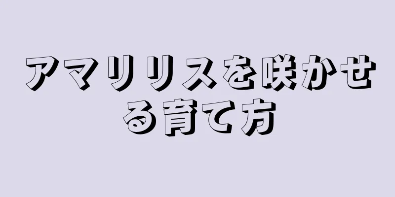 アマリリスを咲かせる育て方