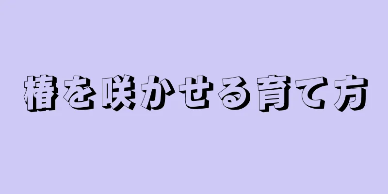 椿を咲かせる育て方