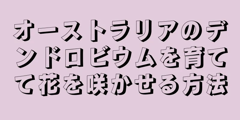 オーストラリアのデンドロビウムを育てて花を咲かせる方法