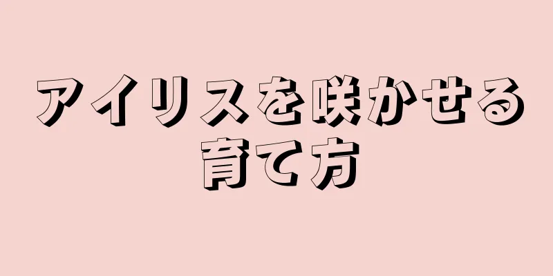 アイリスを咲かせる育て方