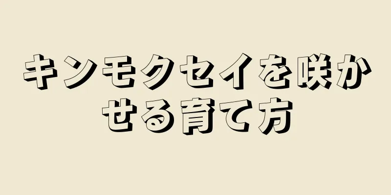 キンモクセイを咲かせる育て方