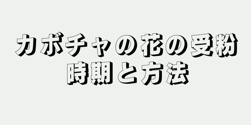 カボチャの花の受粉時期と方法