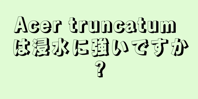 Acer truncatum は浸水に強いですか?