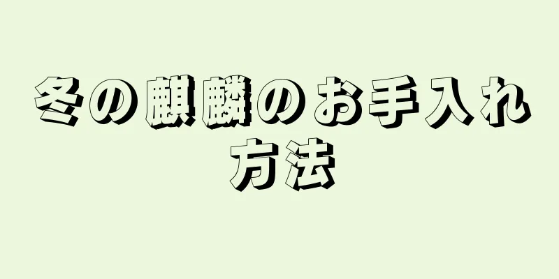 冬の麒麟のお手入れ方法