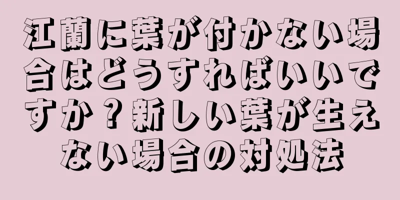 江蘭に葉が付かない場合はどうすればいいですか？新しい葉が生えない場合の対処法