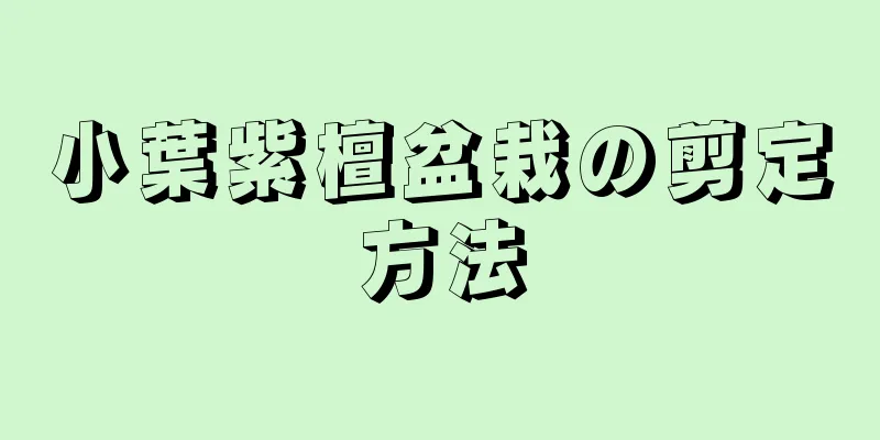 小葉紫檀盆栽の剪定方法