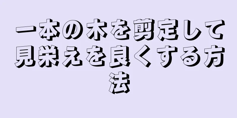 一本の木を剪定して見栄えを良くする方法