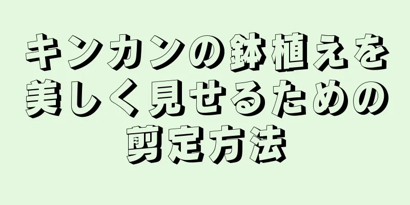 キンカンの鉢植えを美しく見せるための剪定方法