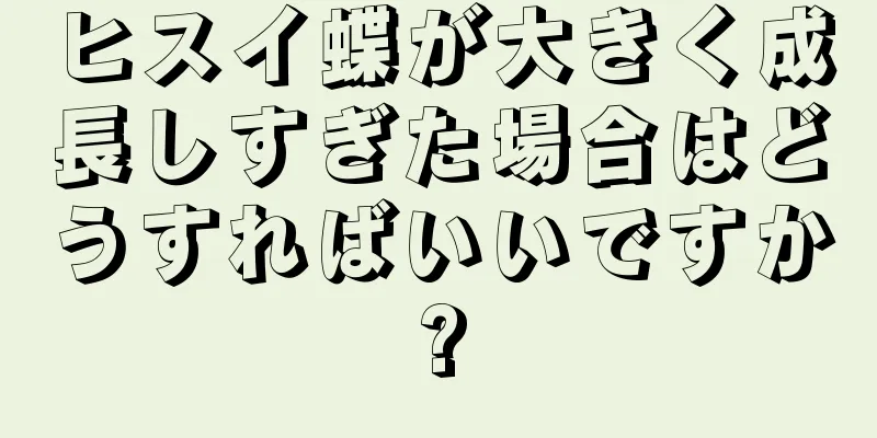 ヒスイ蝶が大きく成長しすぎた場合はどうすればいいですか?