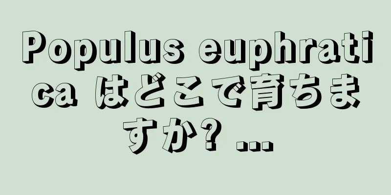 Populus euphratica はどこで育ちますか? ...