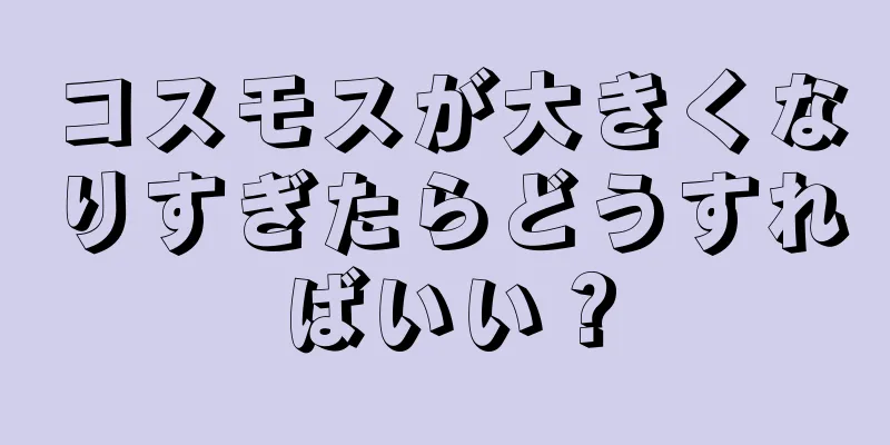 コスモスが大きくなりすぎたらどうすればいい？
