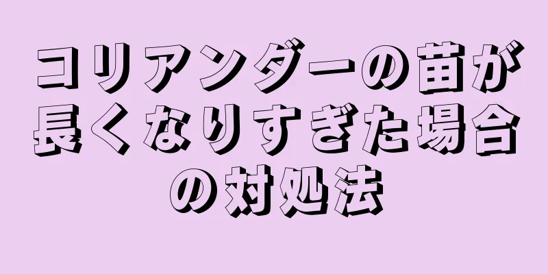 コリアンダーの苗が長くなりすぎた場合の対処法