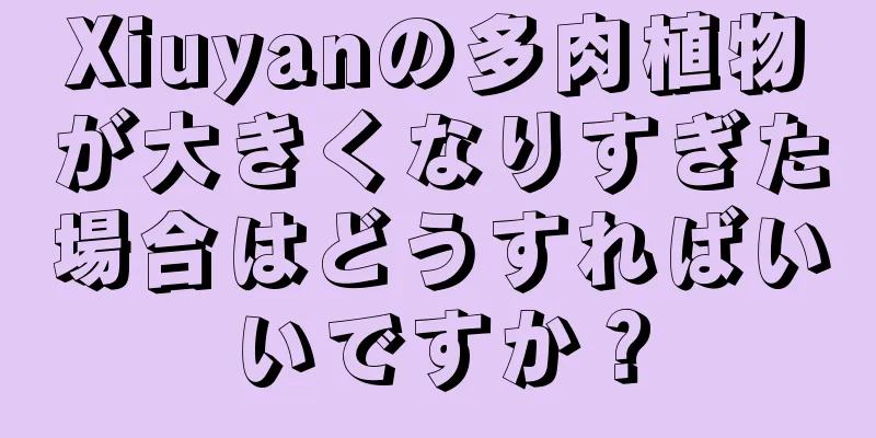 Xiuyanの多肉植物が大きくなりすぎた場合はどうすればいいですか？