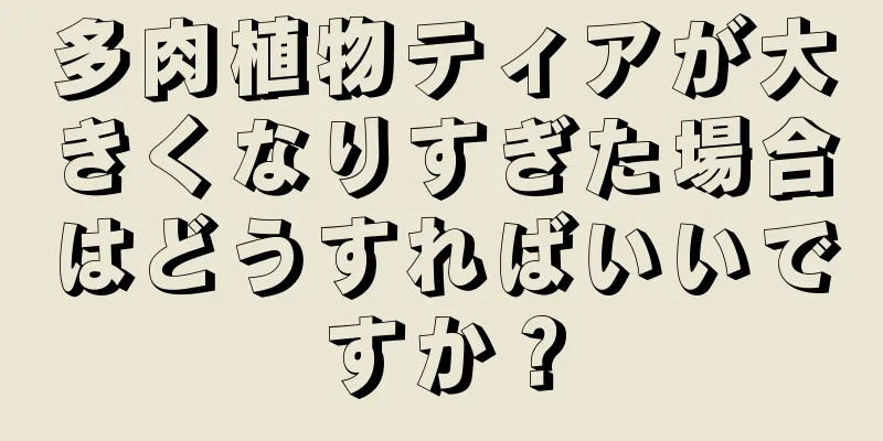多肉植物ティアが大きくなりすぎた場合はどうすればいいですか？