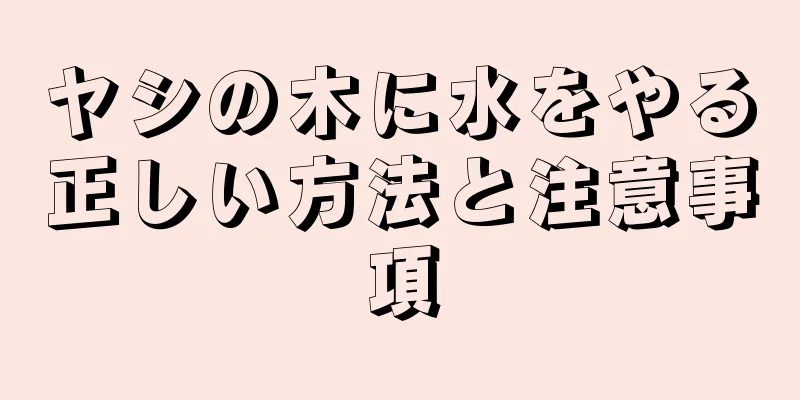ヤシの木に水をやる正しい方法と注意事項