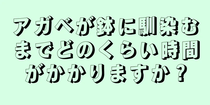アガベが鉢に馴染むまでどのくらい時間がかかりますか？