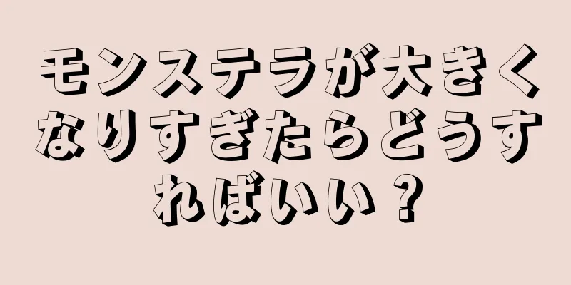 モンステラが大きくなりすぎたらどうすればいい？