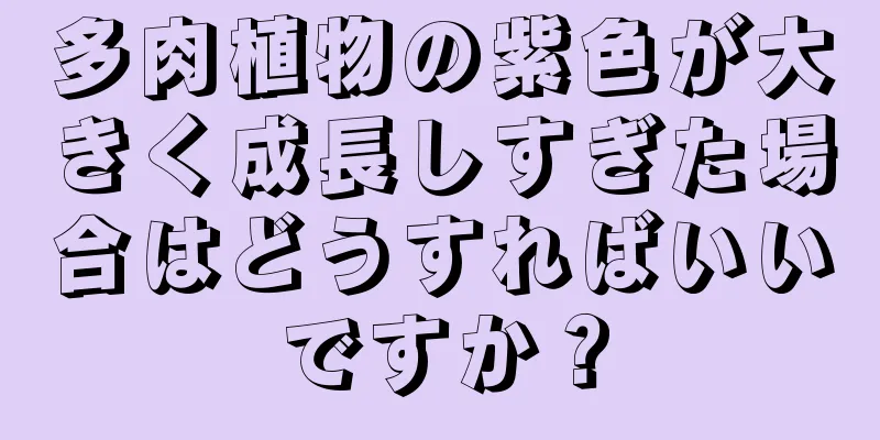 多肉植物の紫色が大きく成長しすぎた場合はどうすればいいですか？