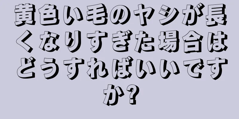黄色い毛のヤシが長くなりすぎた場合はどうすればいいですか?