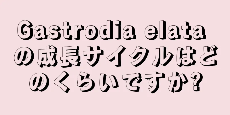 Gastrodia elata の成長サイクルはどのくらいですか?