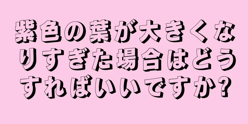 紫色の葉が大きくなりすぎた場合はどうすればいいですか?