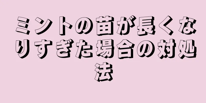 ミントの苗が長くなりすぎた場合の対処法