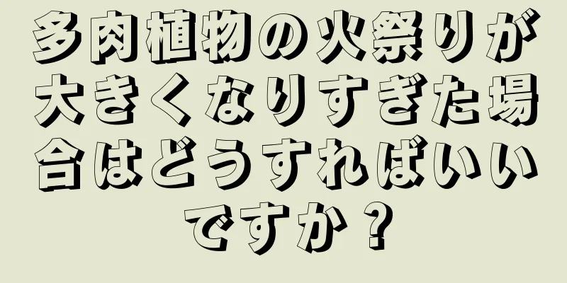 多肉植物の火祭りが大きくなりすぎた場合はどうすればいいですか？
