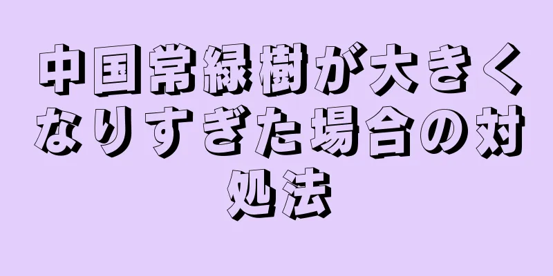 中国常緑樹が大きくなりすぎた場合の対処法