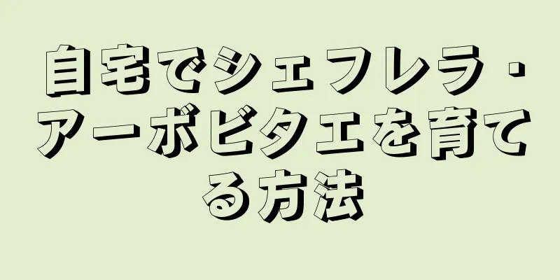 自宅でシェフレラ・アーボビタエを育てる方法