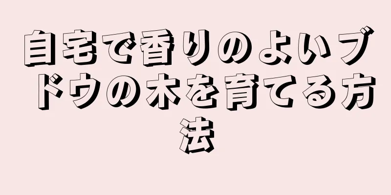 自宅で香りのよいブドウの木を育てる方法