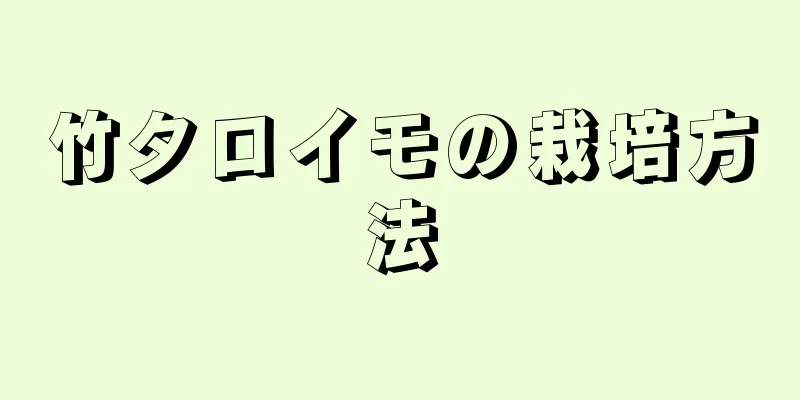 竹タロイモの栽培方法