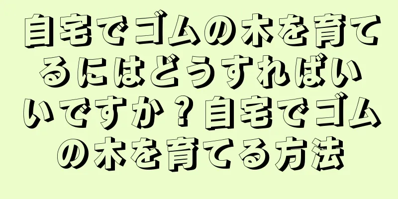 自宅でゴムの木を育てるにはどうすればいいですか？自宅でゴムの木を育てる方法