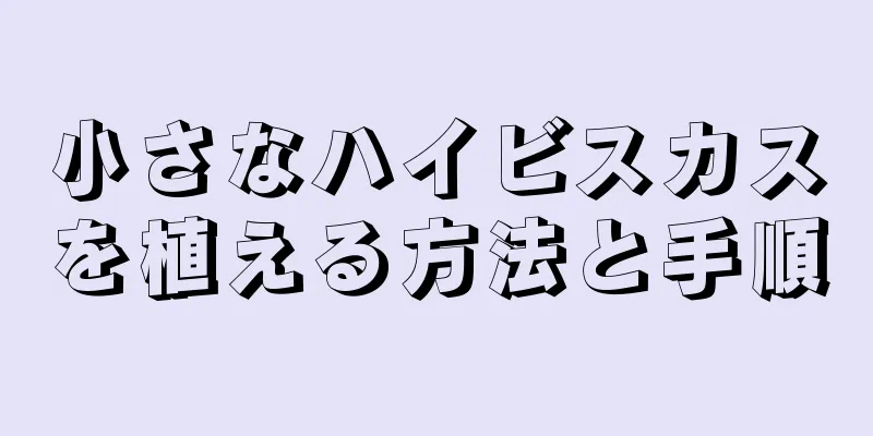 小さなハイビスカスを植える方法と手順