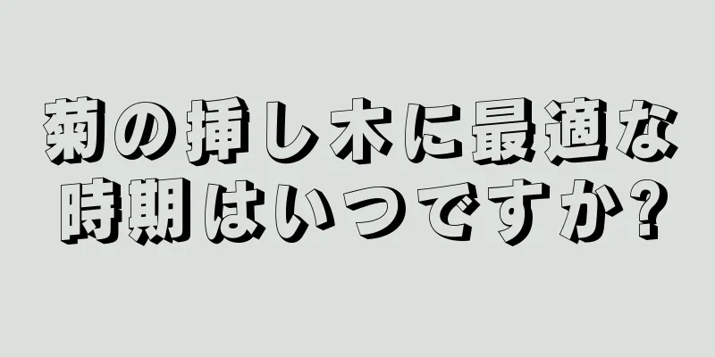 菊の挿し木に最適な時期はいつですか?