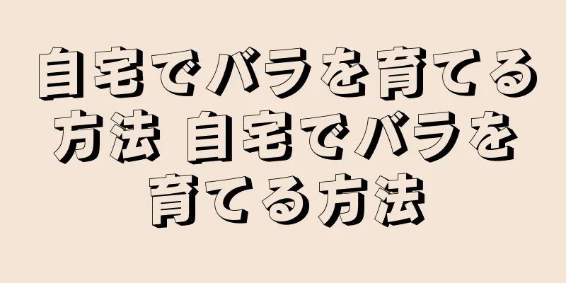 自宅でバラを育てる方法 自宅でバラを育てる方法