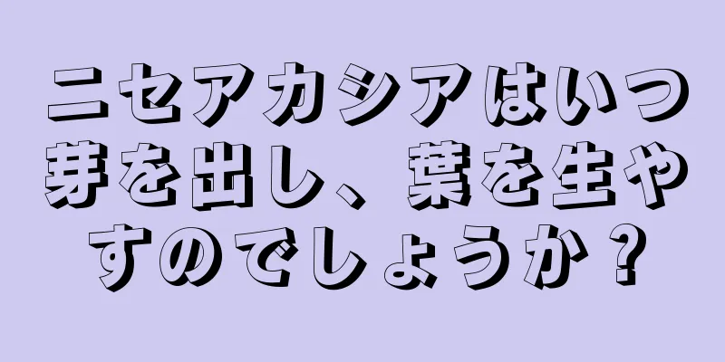 ニセアカシアはいつ芽を出し、葉を生やすのでしょうか？