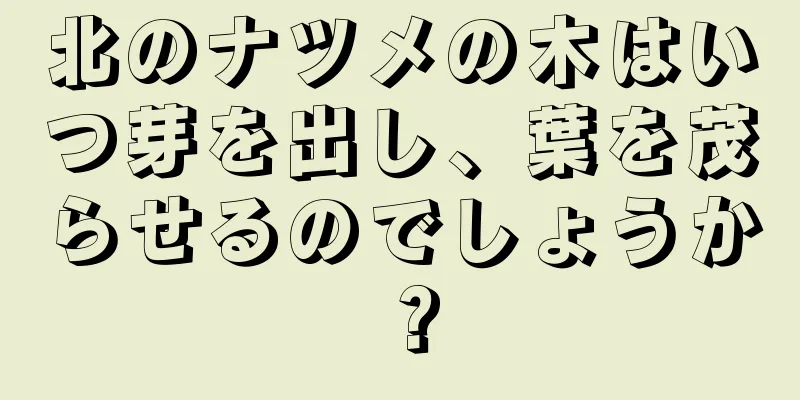 北のナツメの木はいつ芽を出し、葉を茂らせるのでしょうか？
