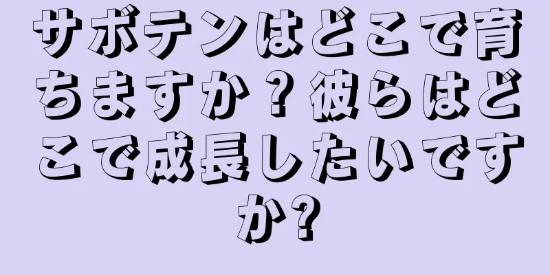 サボテンはどこで育ちますか？彼らはどこで成長したいですか?