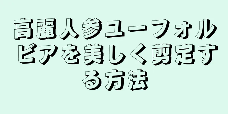 高麗人参ユーフォルビアを美しく剪定する方法