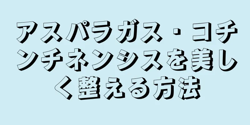 アスパラガス・コチンチネンシスを美しく整える方法