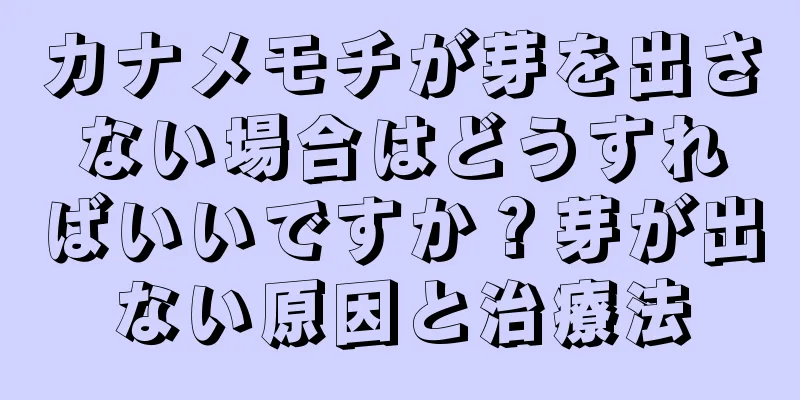 カナメモチが芽を出さない場合はどうすればいいですか？芽が出ない原因と治療法