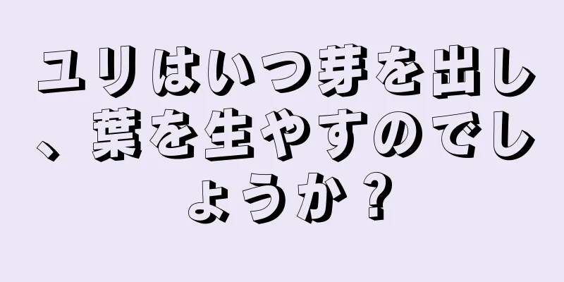ユリはいつ芽を出し、葉を生やすのでしょうか？