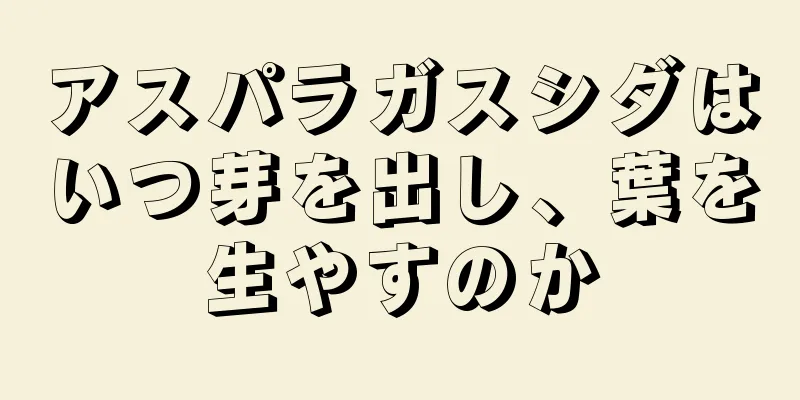 アスパラガスシダはいつ芽を出し、葉を生やすのか