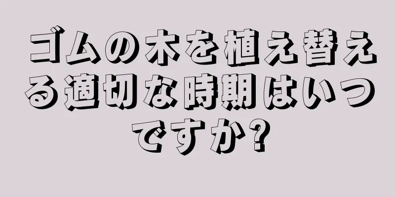 ゴムの木を植え替える適切な時期はいつですか?