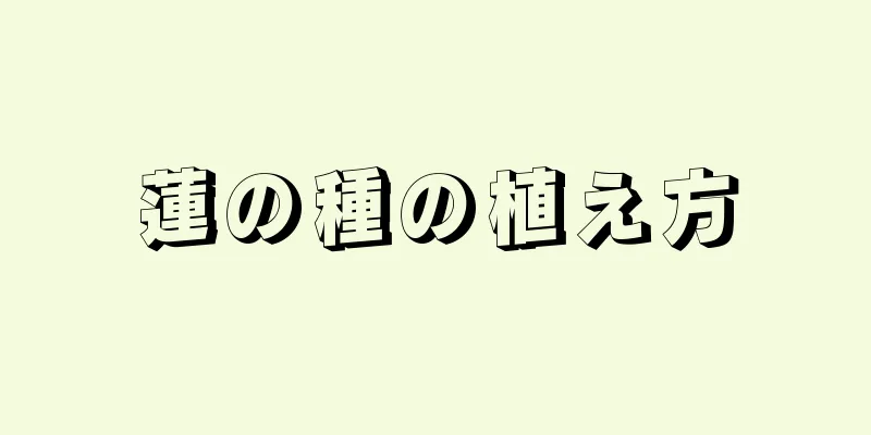 蓮の種の植え方