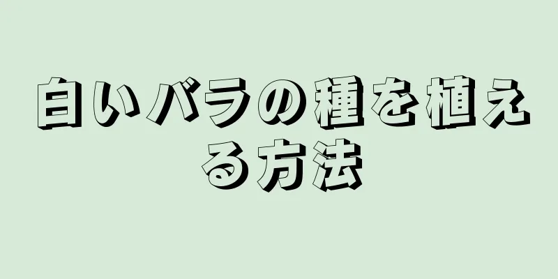 白いバラの種を植える方法