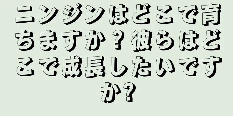 ニンジンはどこで育ちますか？彼らはどこで成長したいですか?