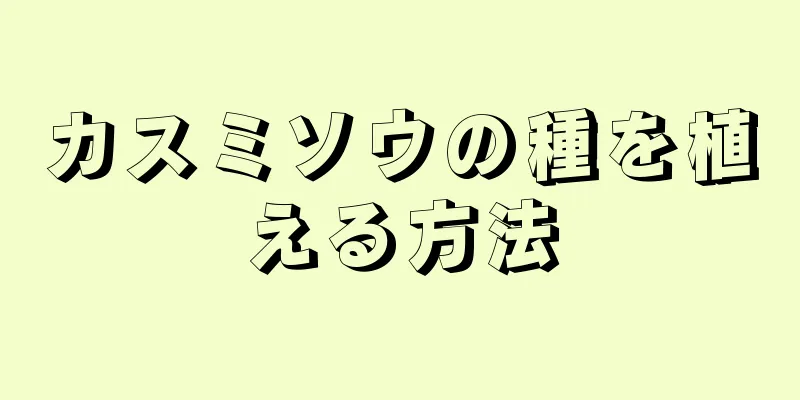 カスミソウの種を植える方法