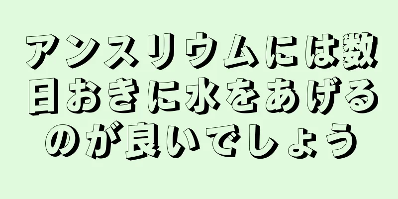 アンスリウムには数日おきに水をあげるのが良いでしょう