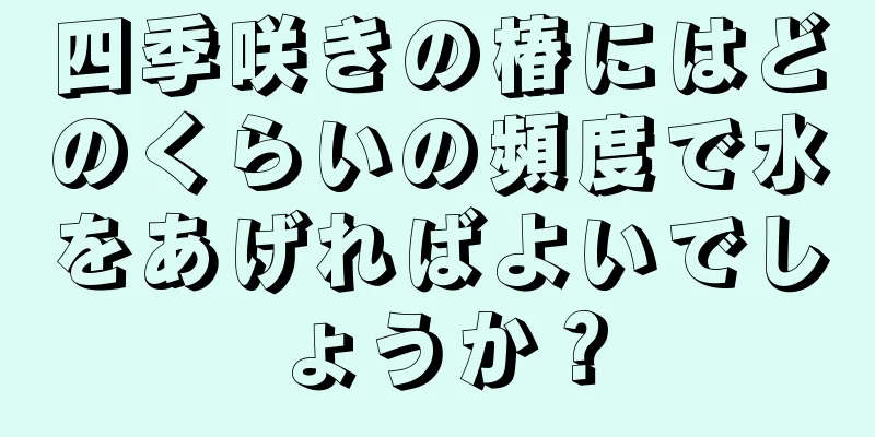 四季咲きの椿にはどのくらいの頻度で水をあげればよいでしょうか？